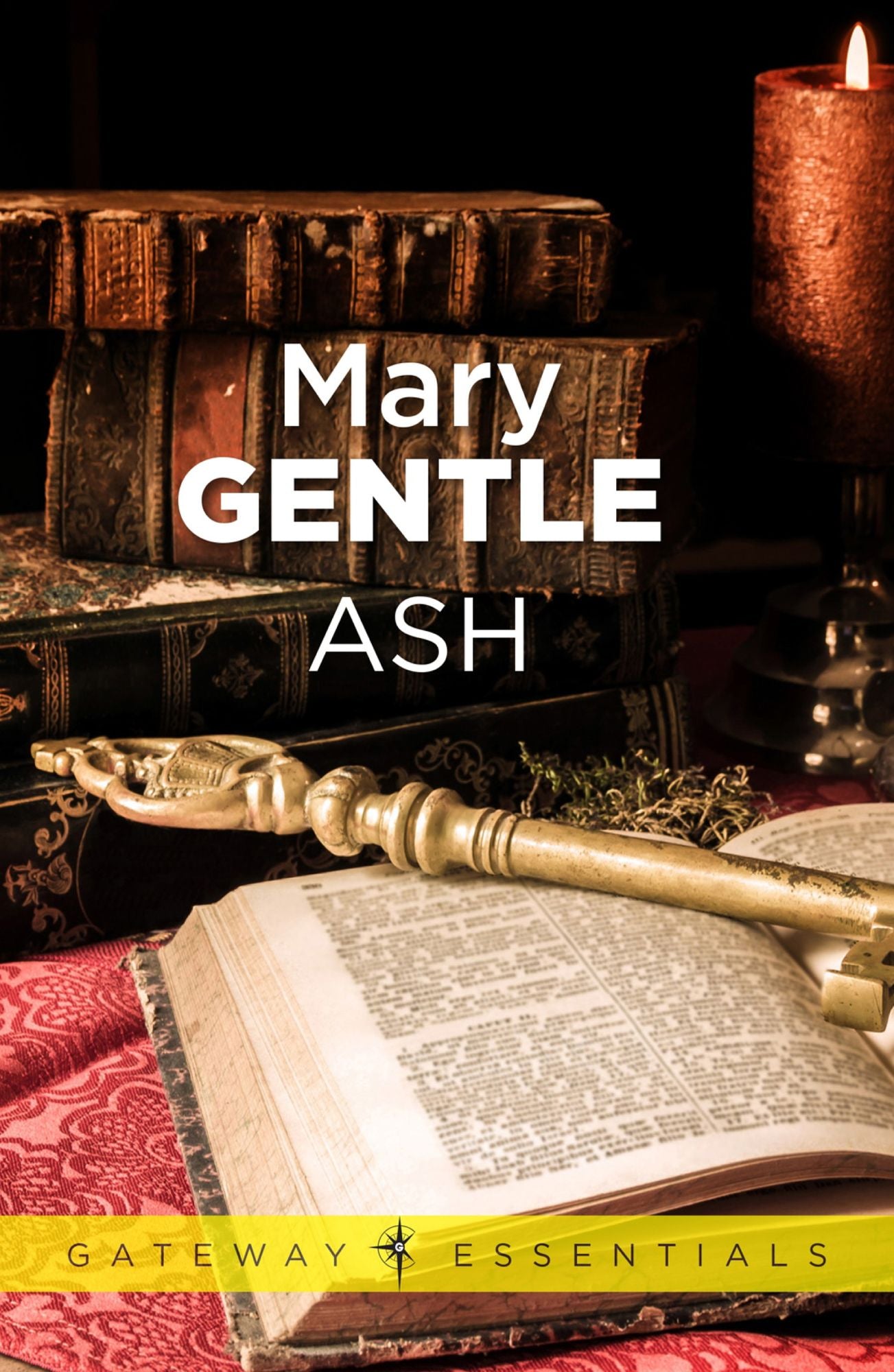 Ash: A Secret History
