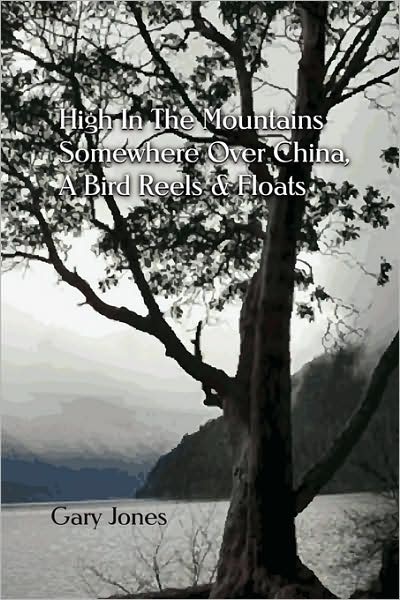 High In The Mountains Somewhere Over China, A Bird Reels & Floats