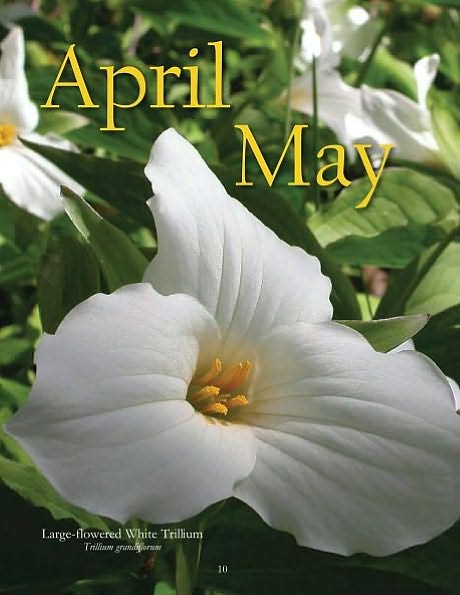 Keweenaw Wildflowers Blooming Seasons