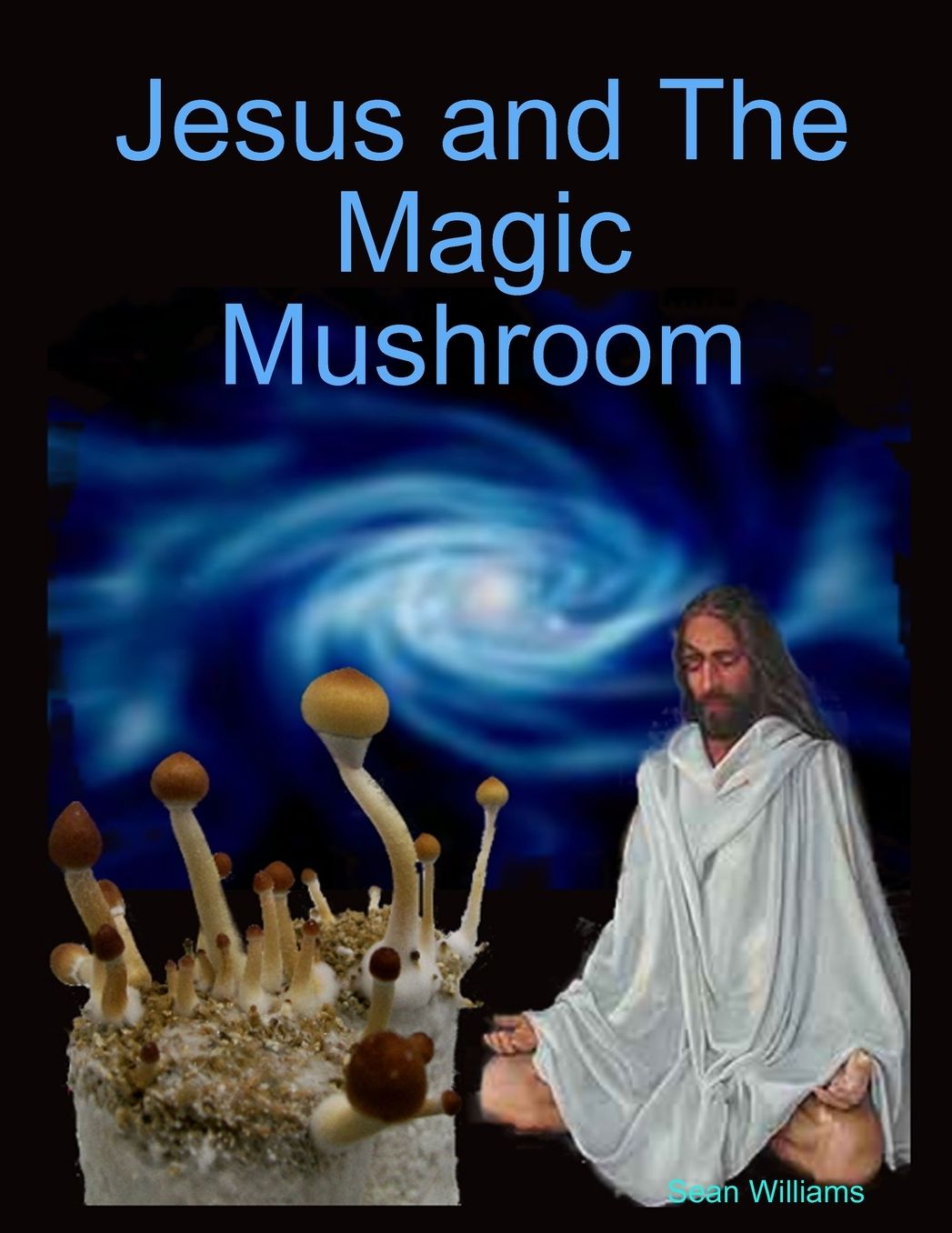 Jesus And The Magic Mushroom