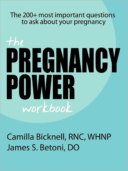 The Pregnancy Power Workbook