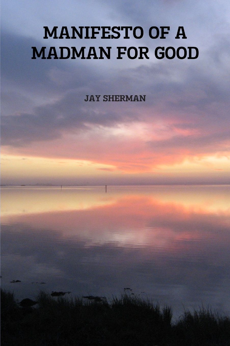 Manifesto Of A Madman For Good