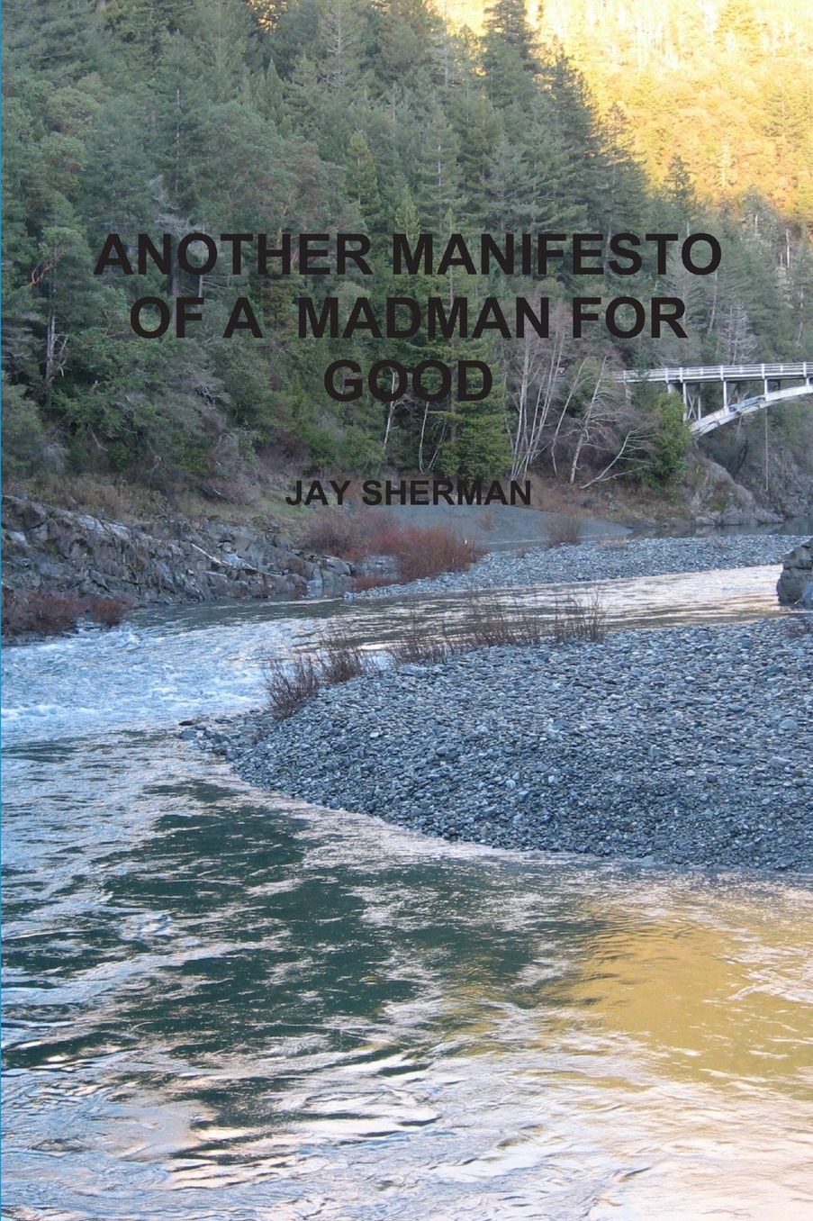 ANOTHER MANIFESTO OF A MADMAN FOR GOOD