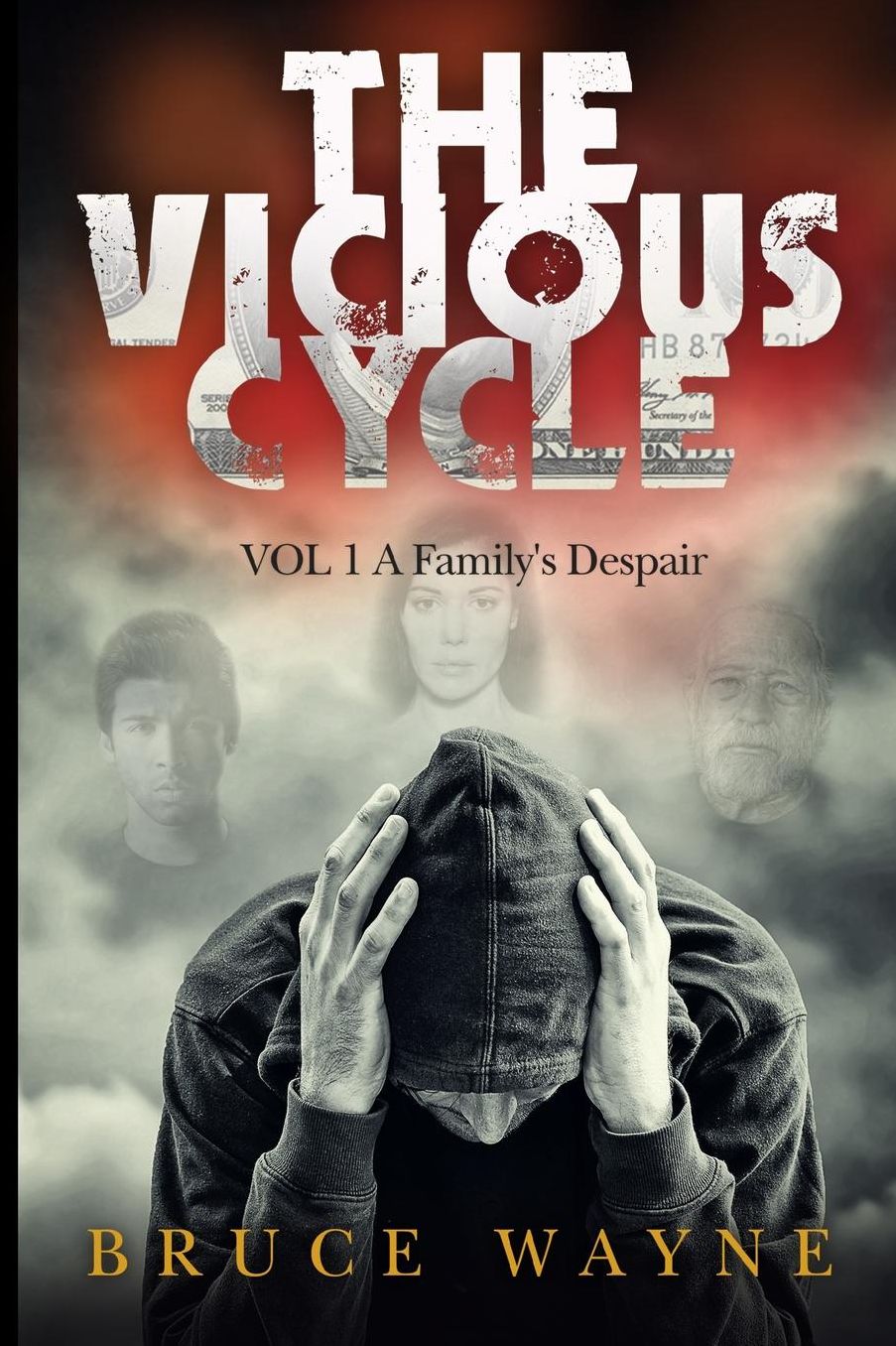 The Vicious Cycle Volume 1: A Family's Despair