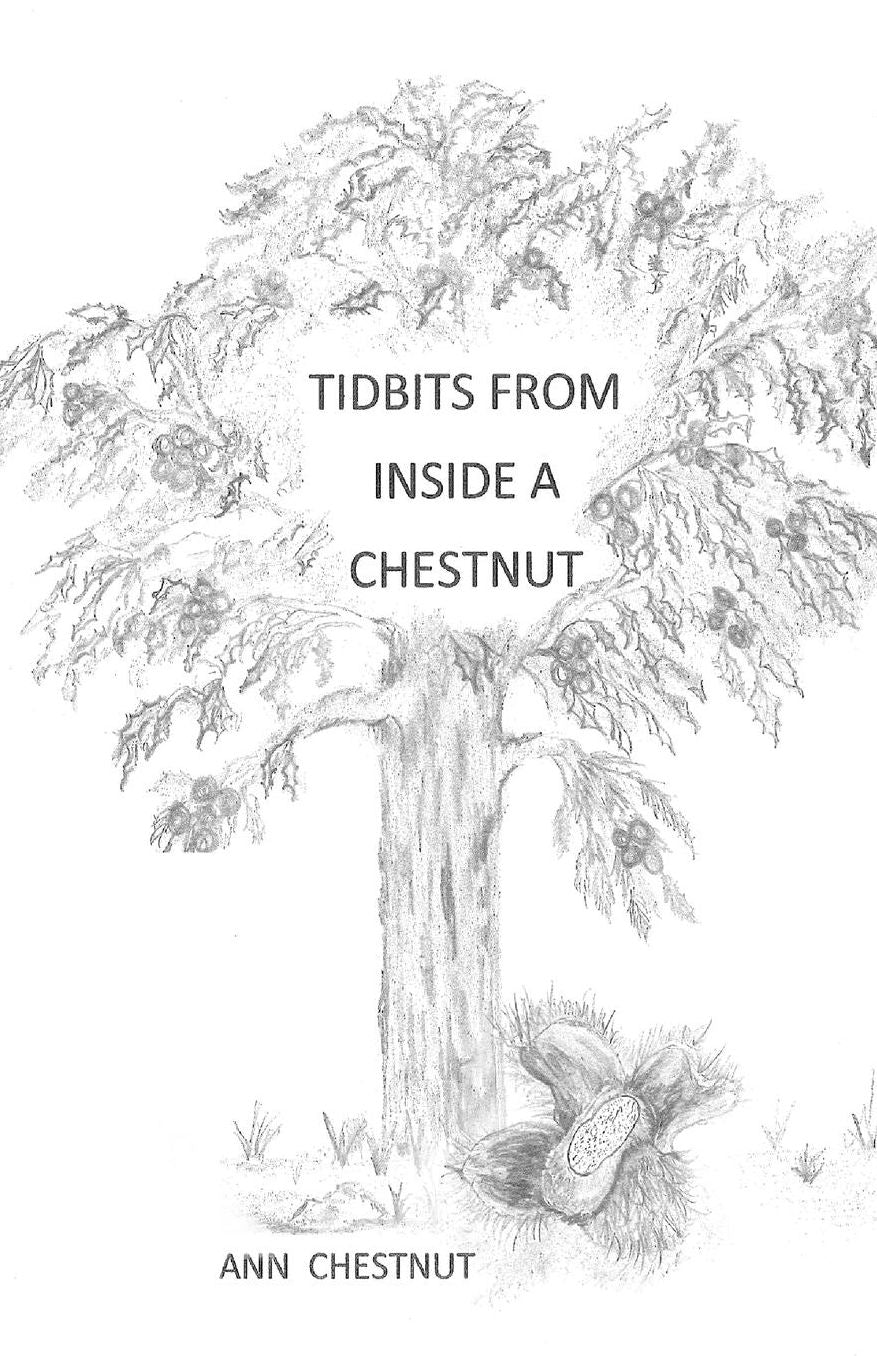 TIDBITS from INSIDE a CHESTNUT