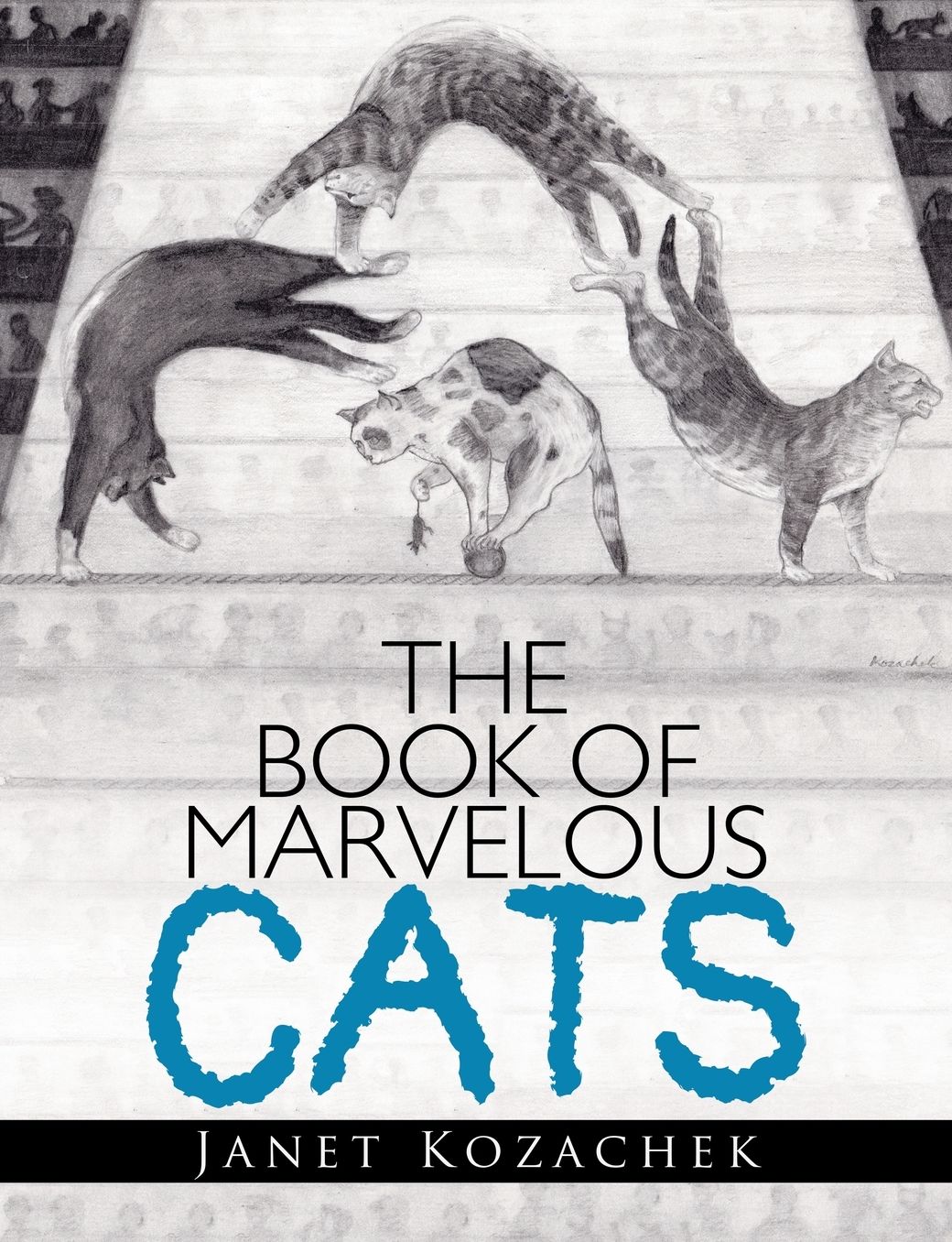 The Book of Marvelous Cats