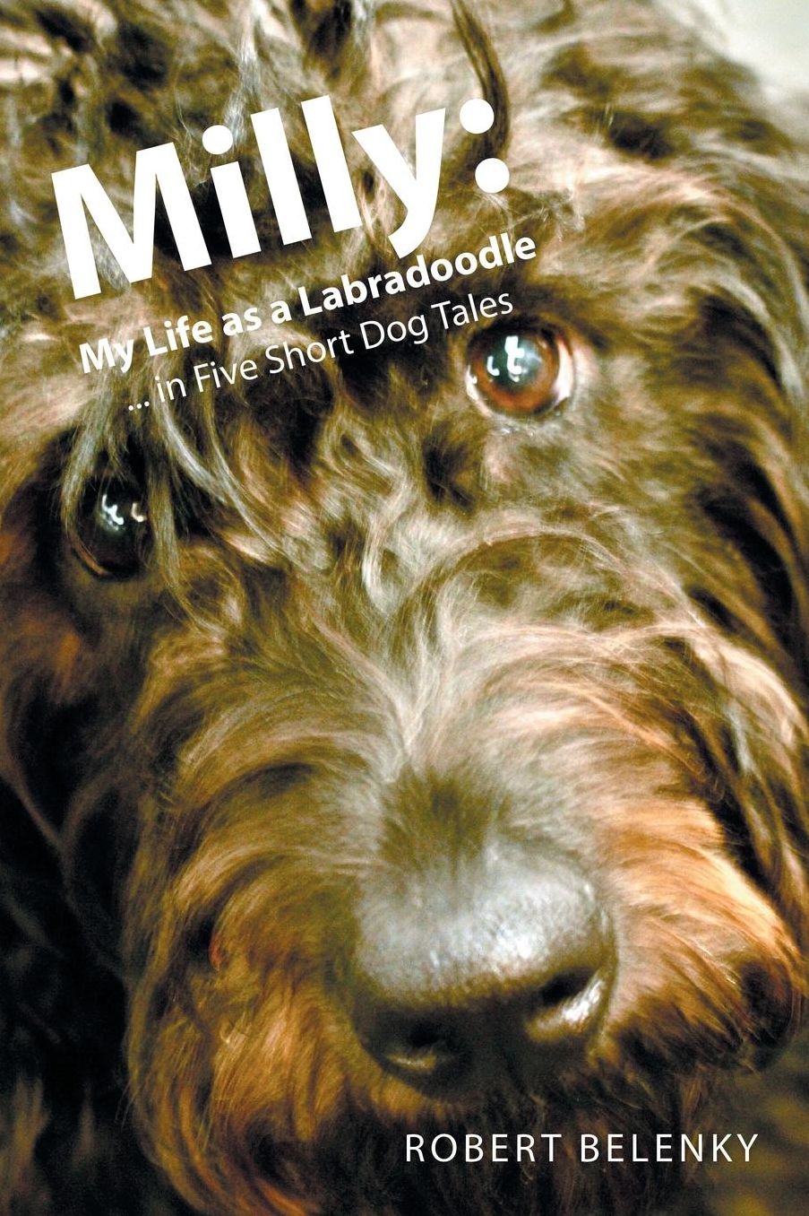 Milly: My Life as a Labradoodle ... in Five Short Dog Tales