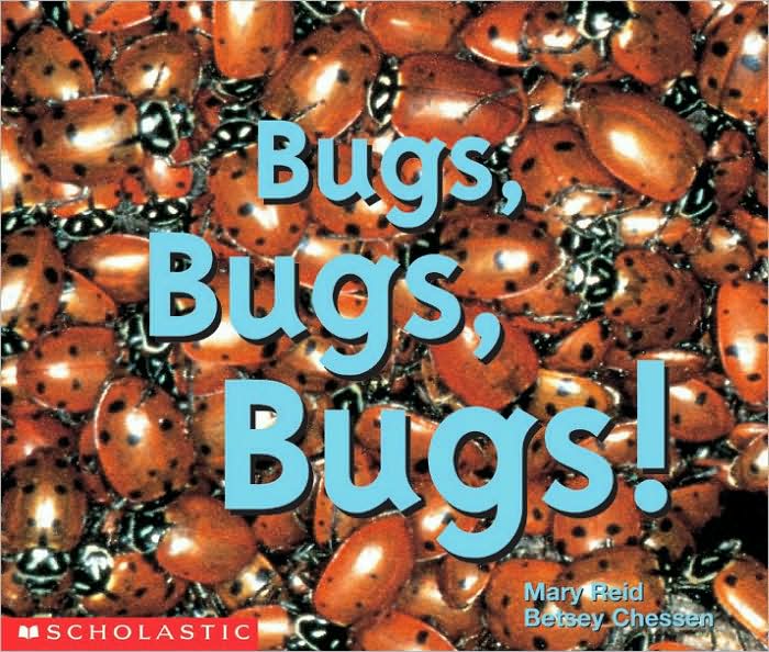 Bugs, Bugs, Bugs!