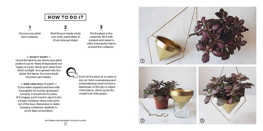 Bring The Outside In: The Essential Guide to Cacti, Succulents, Planters and Terrariums