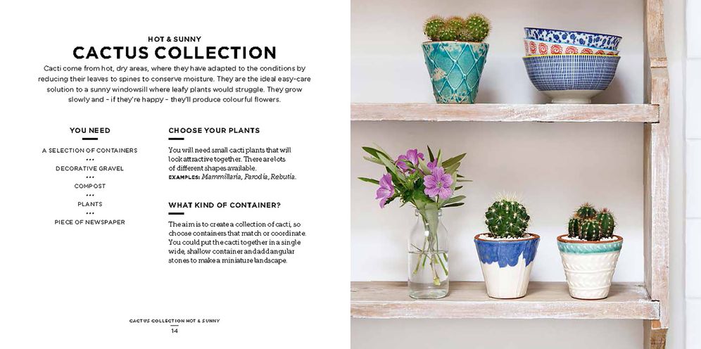 Bring The Outside In: The Essential Guide to Cacti, Succulents, Planters and Terrariums