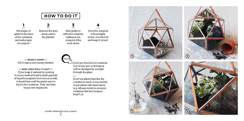 Bring The Outside In: The Essential Guide to Cacti, Succulents, Planters and Terrariums