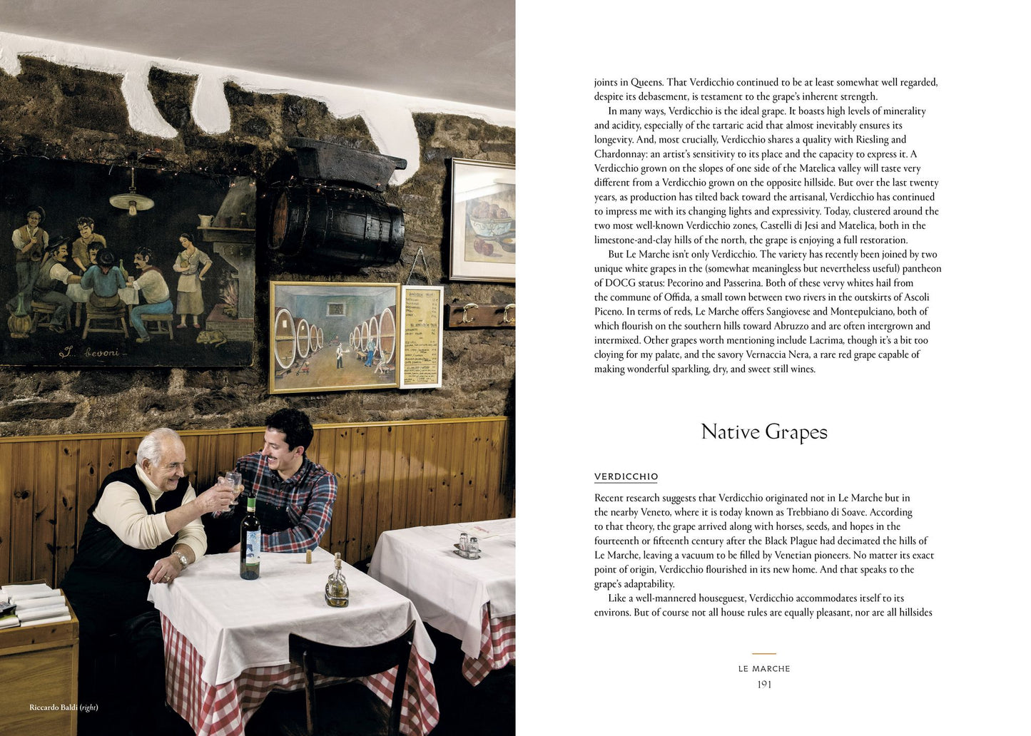 Vino: The Essential Guide to Real Italian Wine
