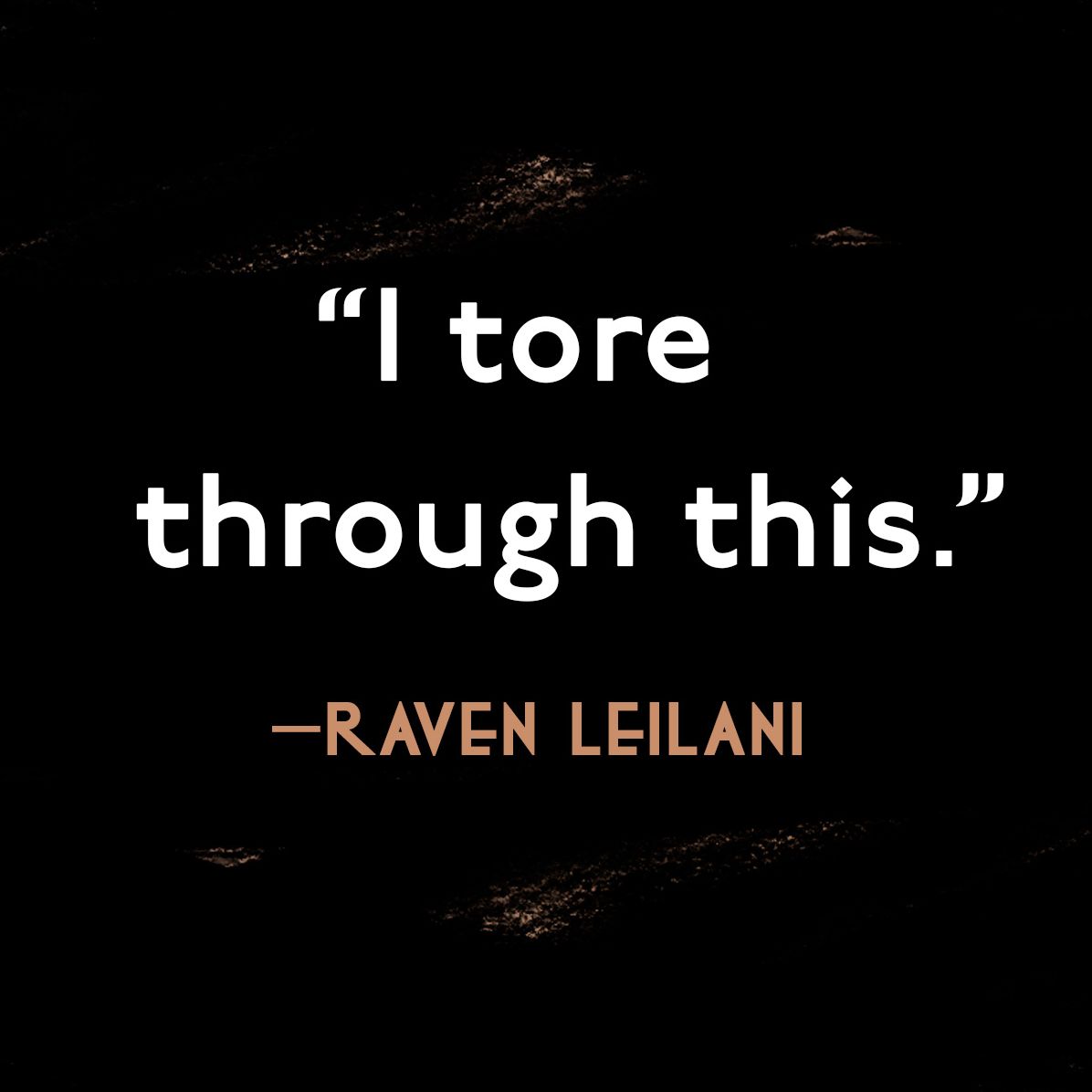 Exhibit: A Novel