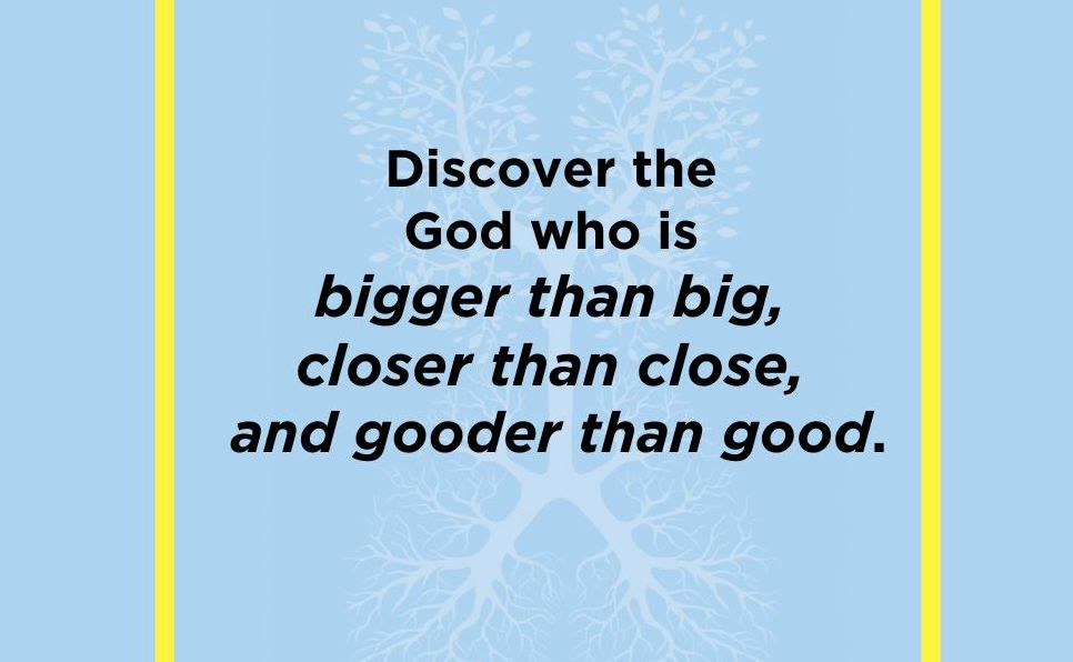A Million Little Miracles: Rediscover the God Who Is Bigger Than Big, Closer Than Close, and Gooder Than Good