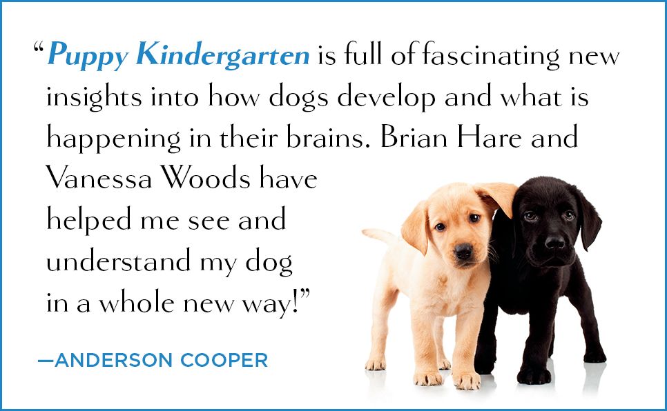 Puppy Kindergarten: The New Science of Raising a Great Dog