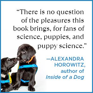 Puppy Kindergarten: The New Science of Raising a Great Dog