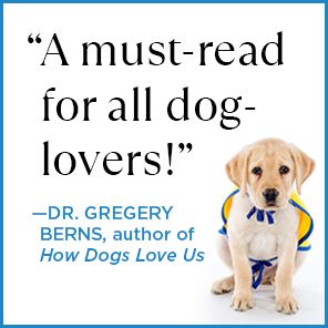 Puppy Kindergarten: The New Science of Raising a Great Dog