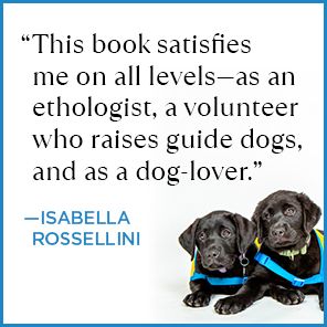 Puppy Kindergarten: The New Science of Raising a Great Dog