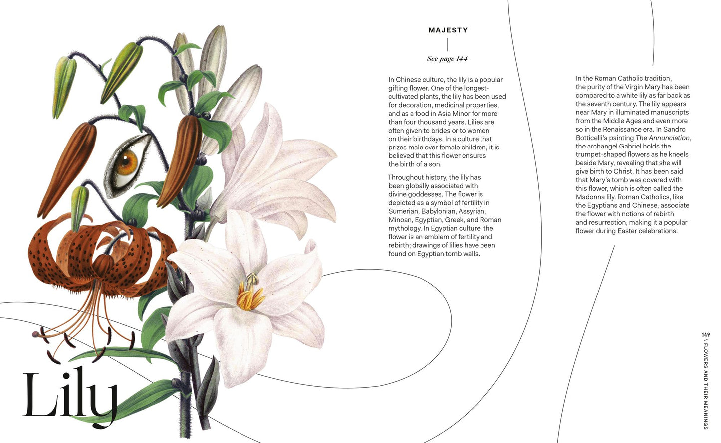 Flowers and Their Meanings: The Secret Language and History of Over 600 Blooms (A Flower Dictionary)