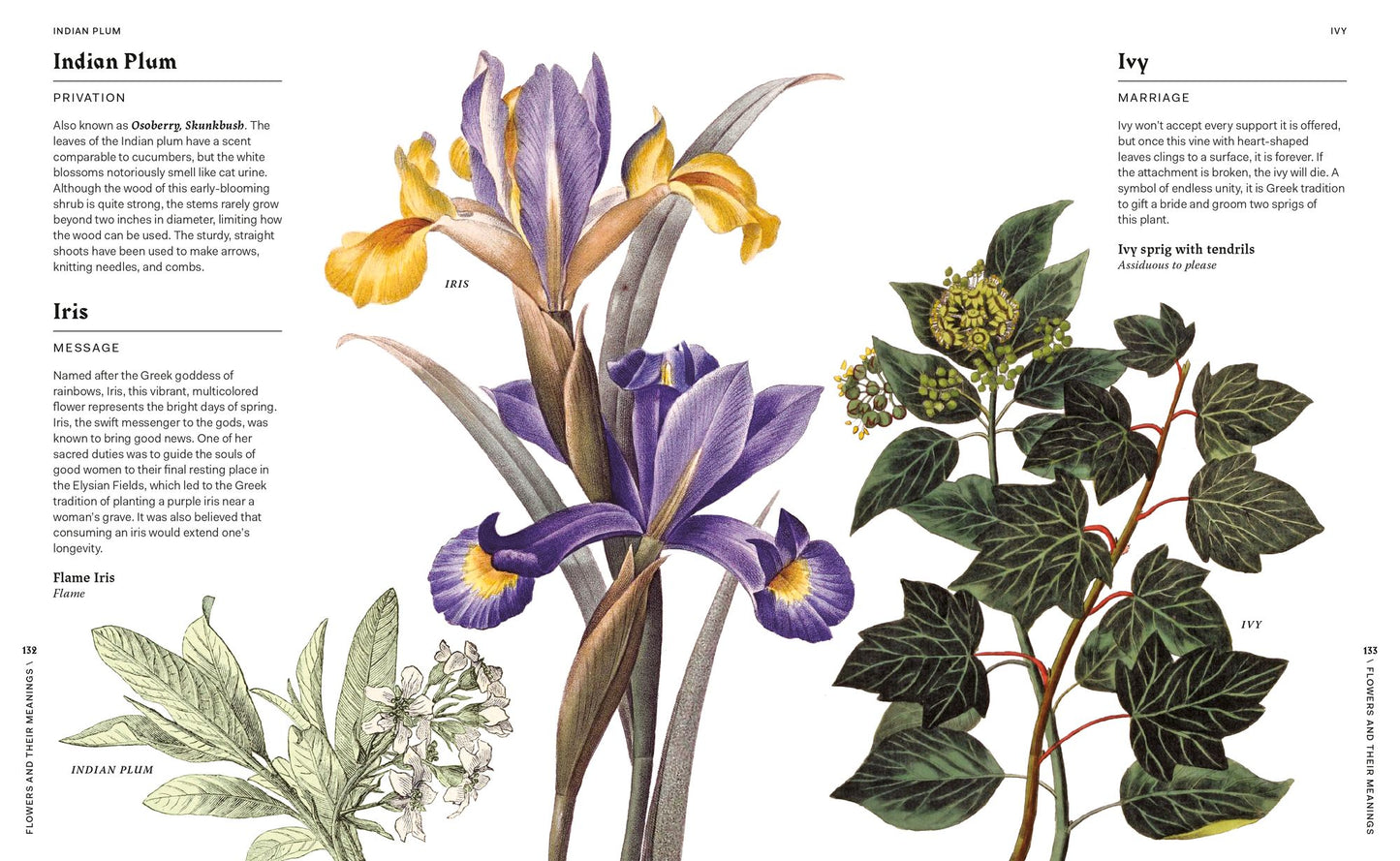 Flowers and Their Meanings: The Secret Language and History of Over 600 Blooms (A Flower Dictionary)