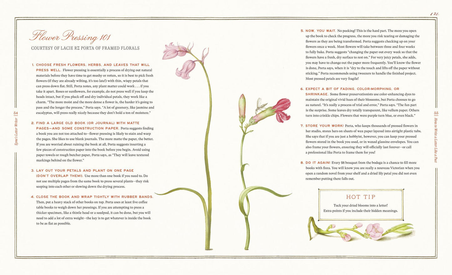 Syme's Letter Writer: A Guide to Modern Correspondence About (Almost) Every Imaginable Subject of Daily Life, with Odes to Desktop Ephemera and Selected Letters of Famous Writers