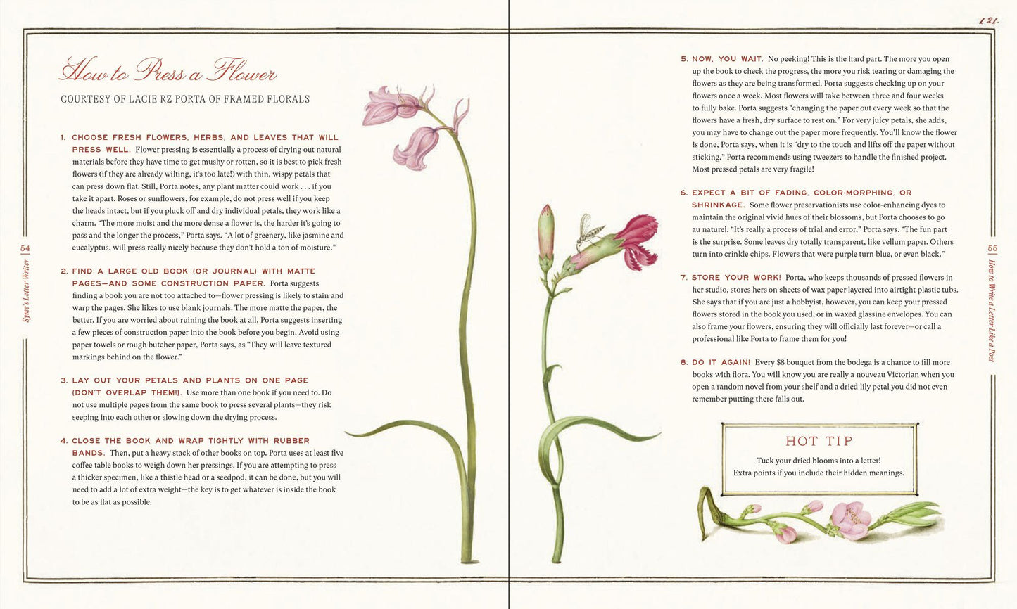 Syme's Letter Writer: A Guide to Modern Correspondence About (Almost) Every Imaginable Subject of Daily Life, with Odes to Desktop Ephemera and Selected Letters of Famous Writers
