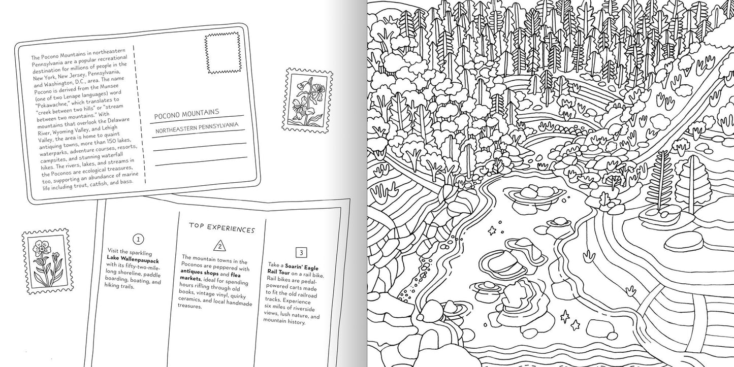 Road Trip!: Coloring Book