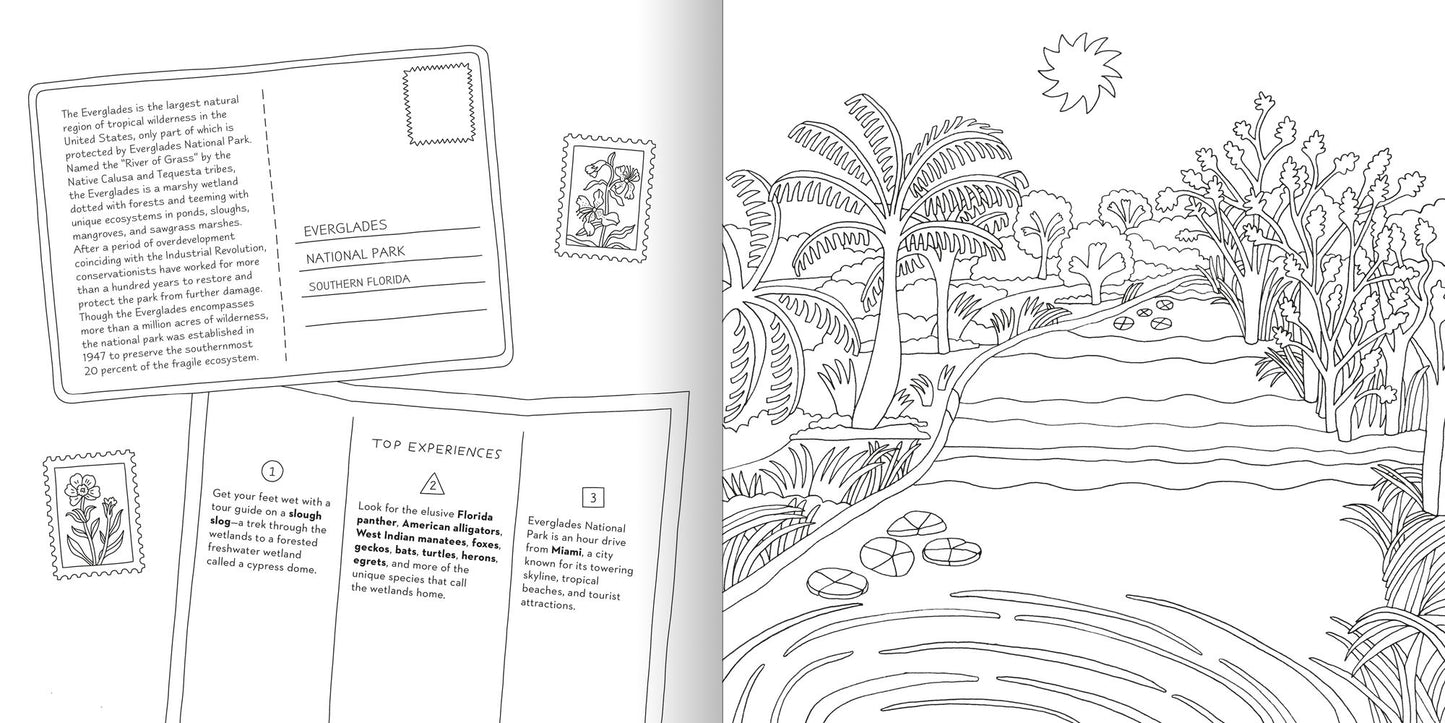 Road Trip!: Coloring Book