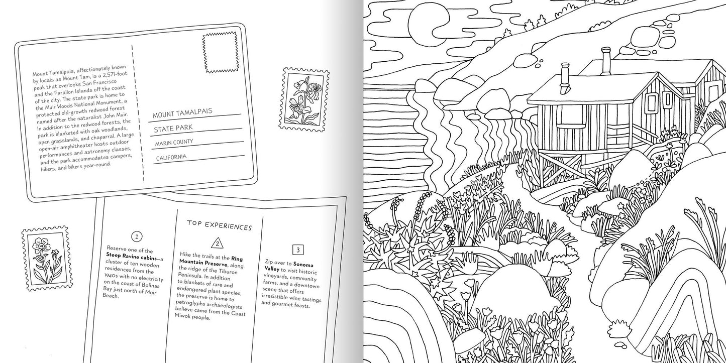 Road Trip!: Coloring Book