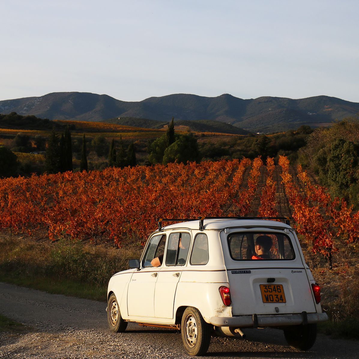 A Season for That: Lost and Found in the Other Southern France