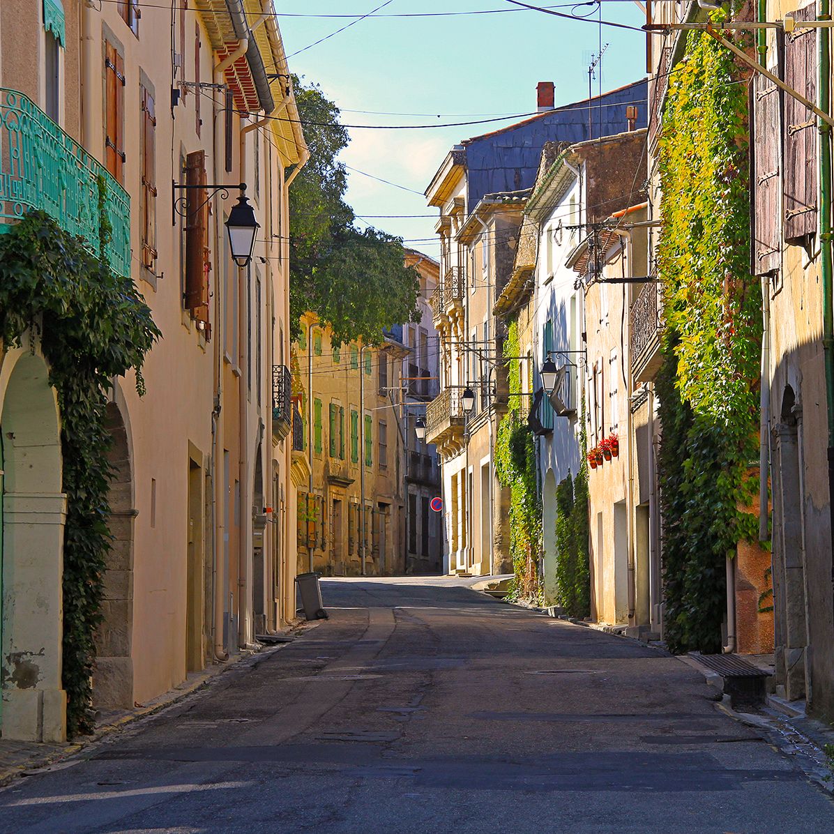 A Season for That: Lost and Found in the Other Southern France