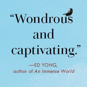 Better Living Through Birding: Notes from a Black Man in the Natural World