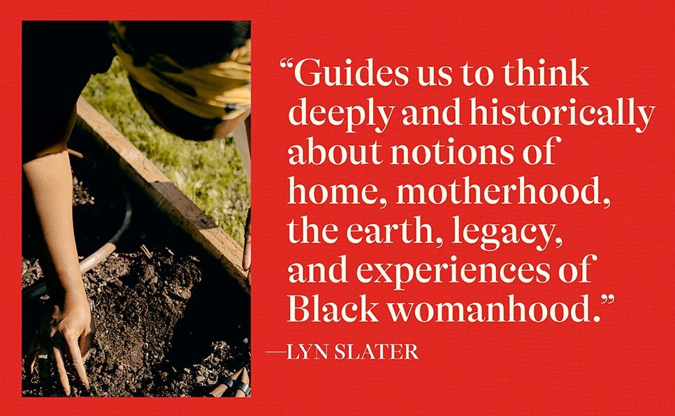 Stand in My Window: Meditations on Home and How We Make It