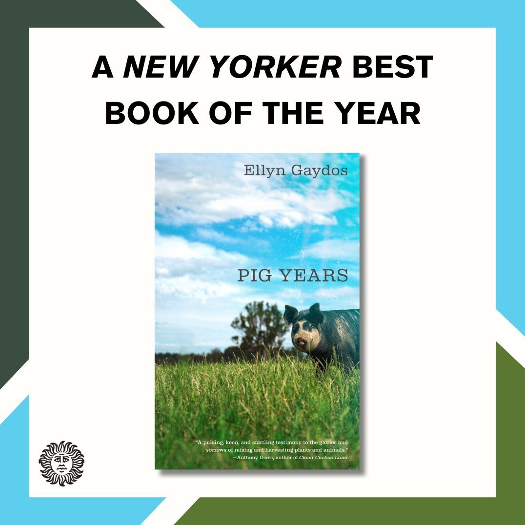Pig Years