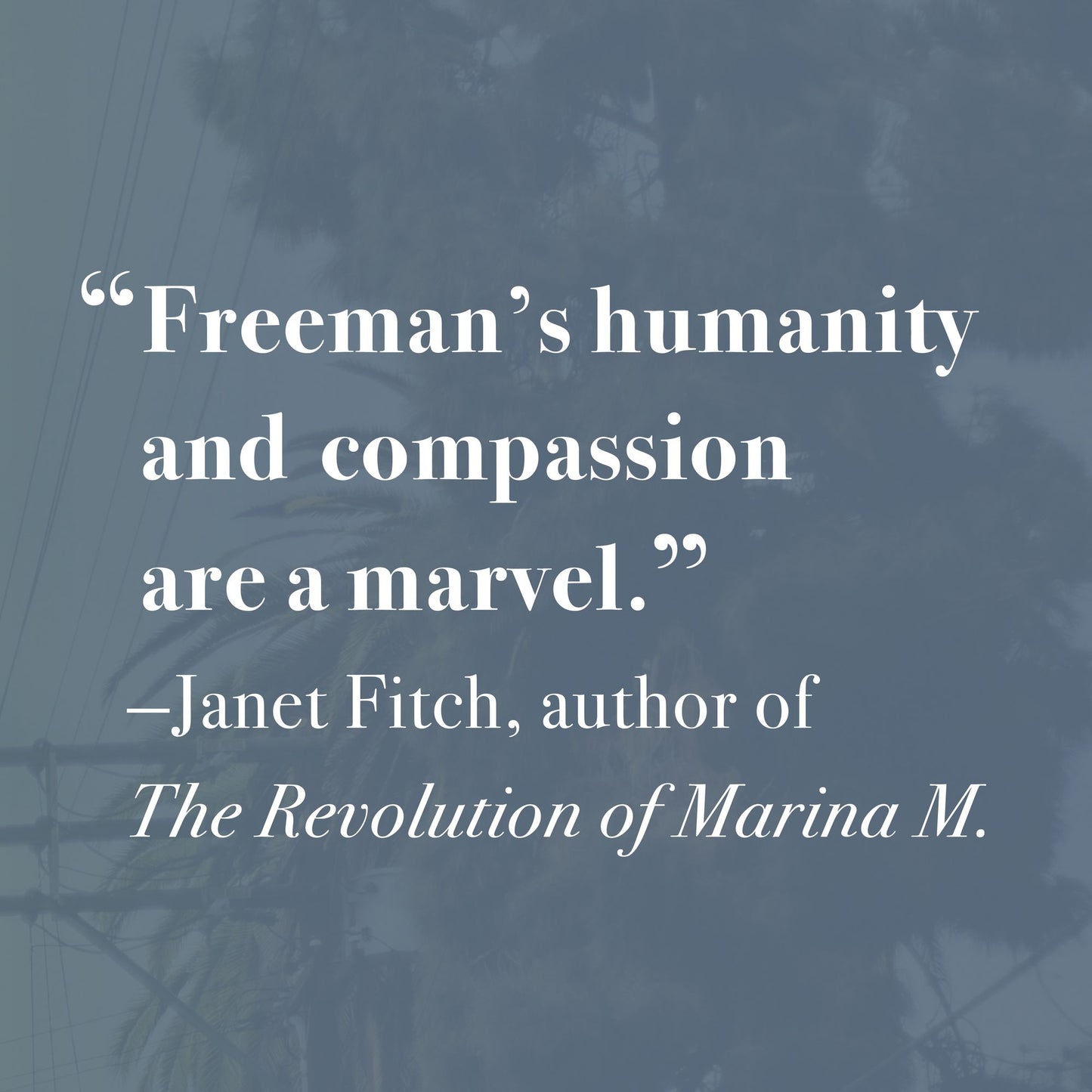 MacArthur Park: A Novel