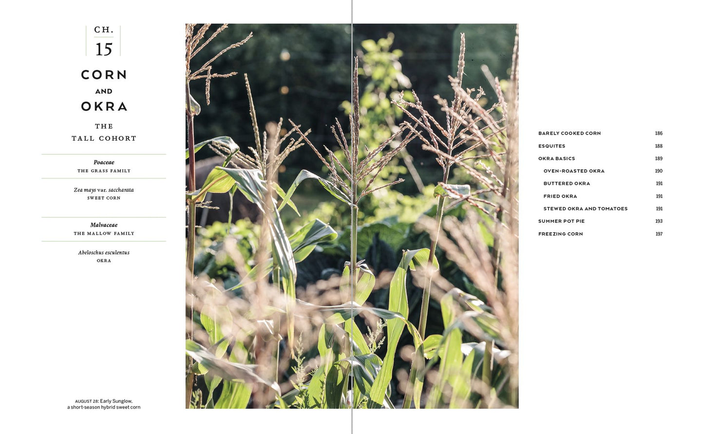 The Cook's Garden: A Gardener's Guide to Selecting, Growing, and Savoring the Tastiest Vegetables of Each Season
