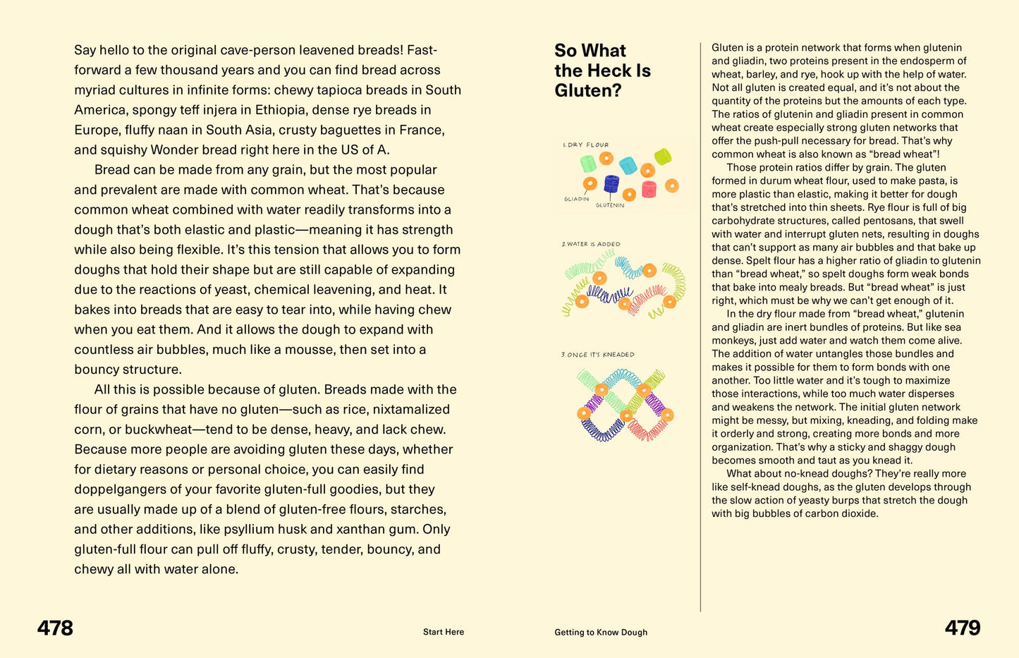 Start Here: Instructions for Becoming a Better Cook: A Cookbook