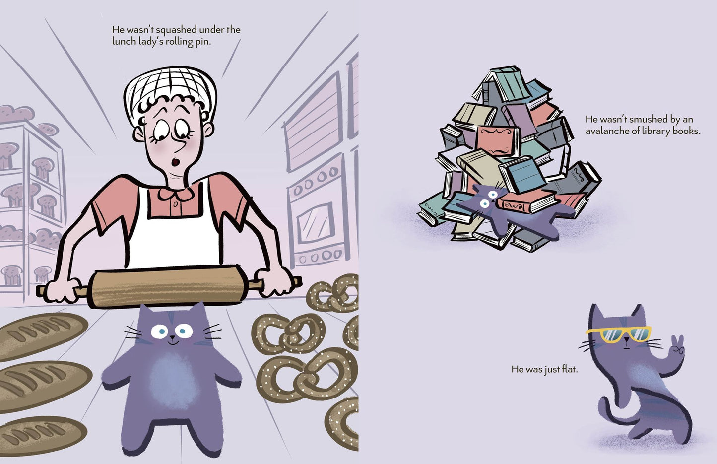 Flat Cat: The Class Pet