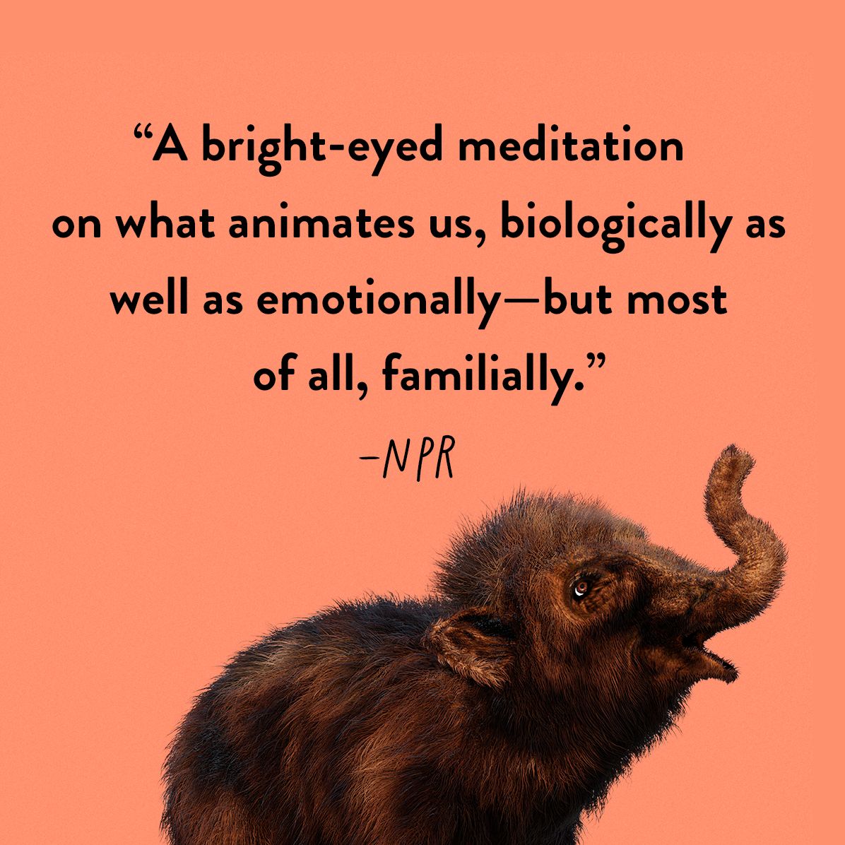 The Last Animal: A Novel