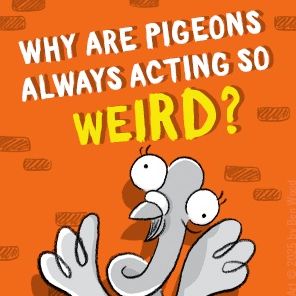 Real Pigeons Splash Back (Book 4)