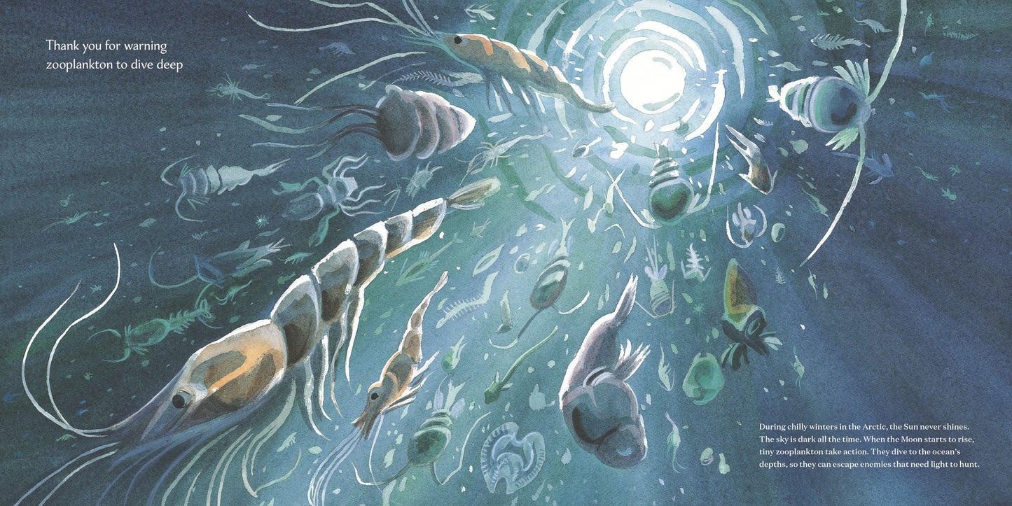 Thank You, Moon: Celebrating Nature's Nightlight
