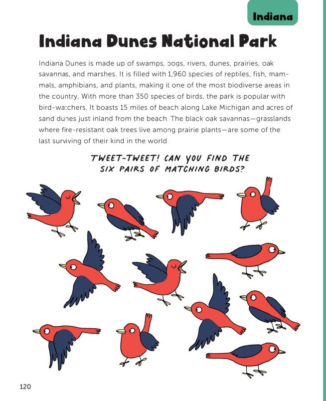 Fun with National Parks: A Big Activity Book for Kids About America's Natural Wonders