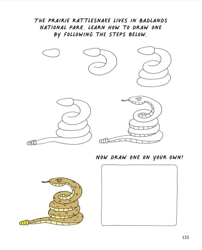 Fun with National Parks: A Big Activity Book for Kids About America's Natural Wonders