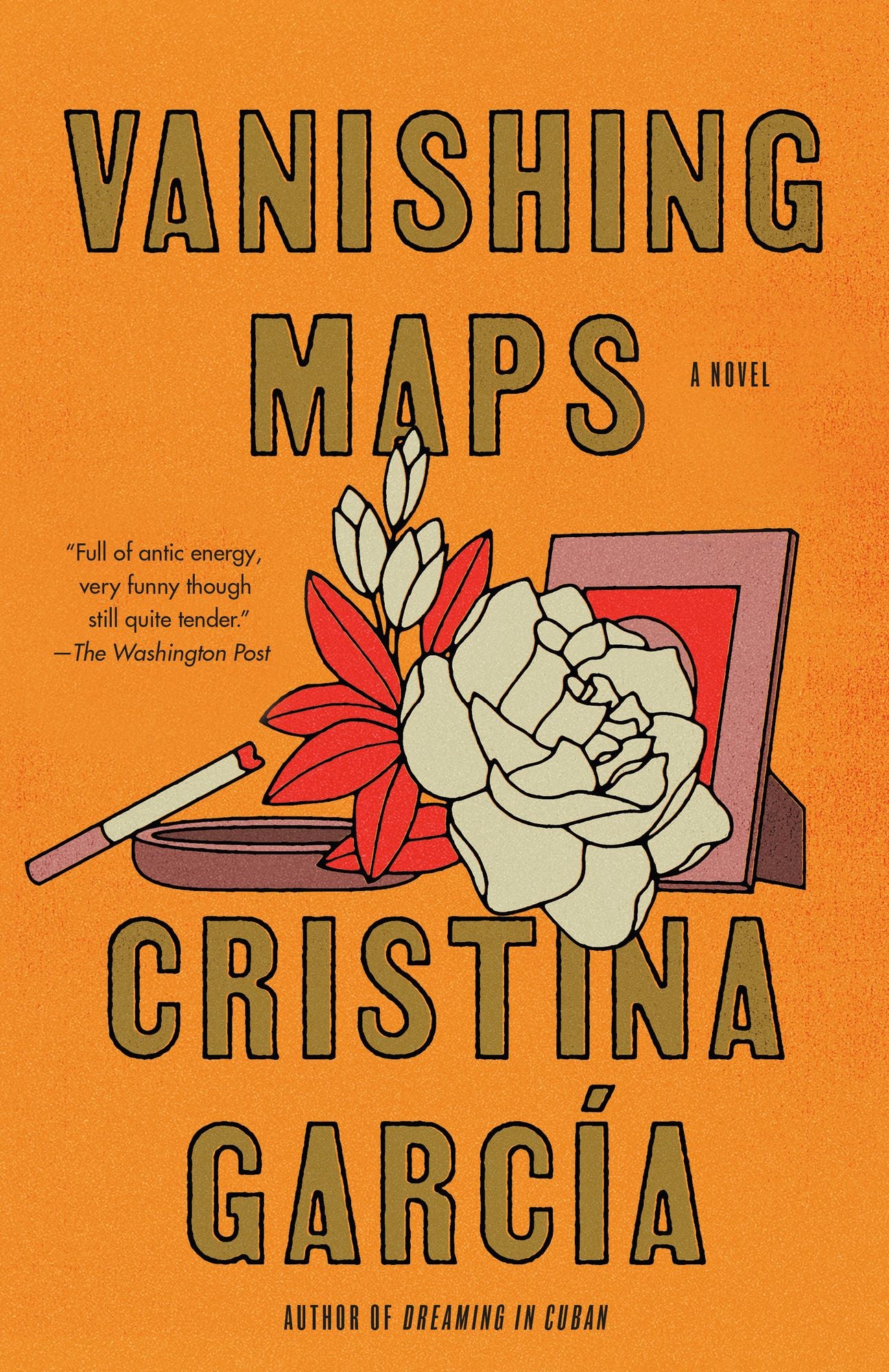 Vanishing Maps: A novel