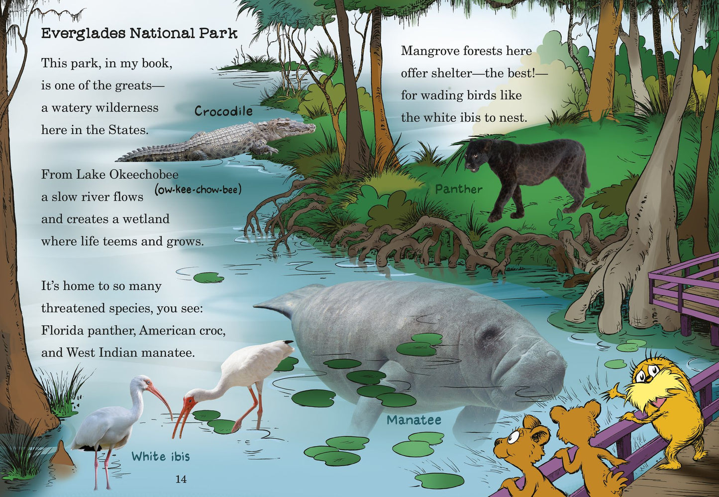 Oh the National Parks You Can Visit!: A Dr. Seuss's The Lorax Nonfiction Book