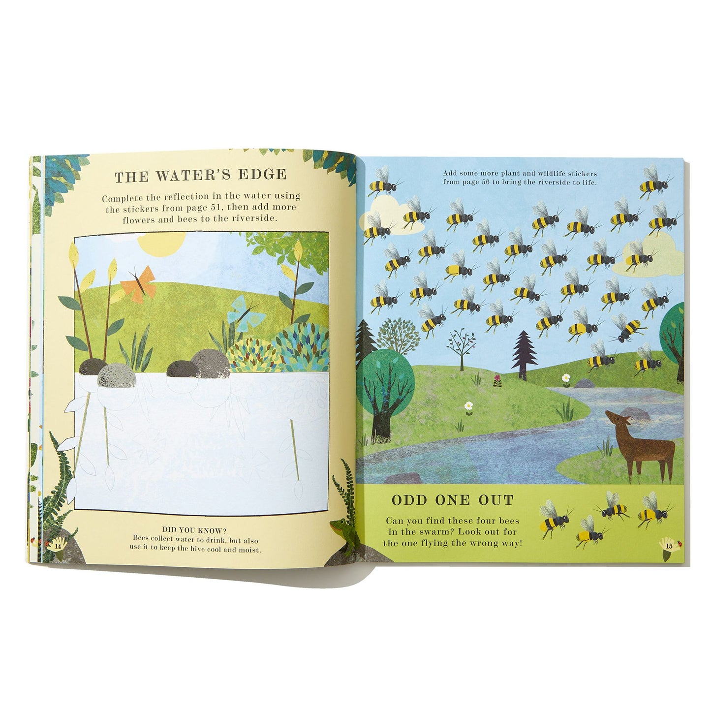 Bee: A Peek-Through Activity Book