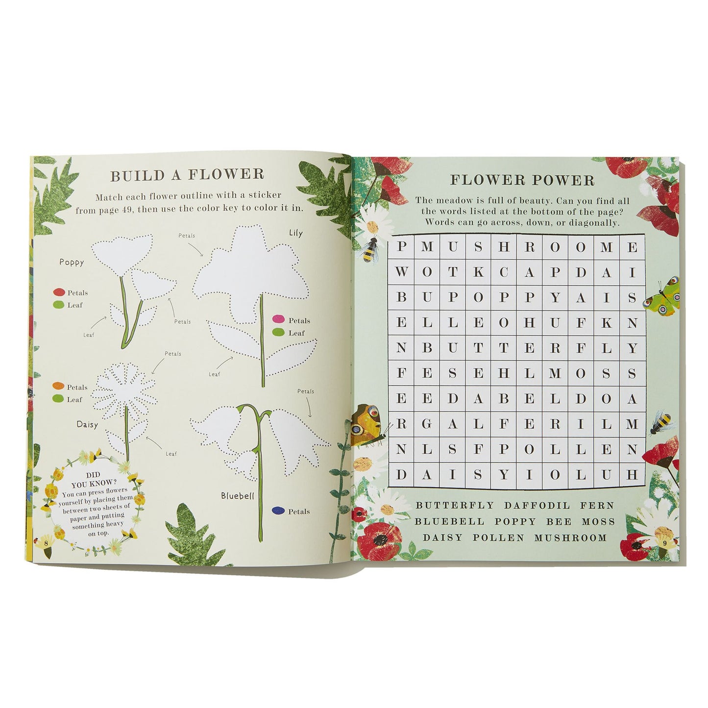 Bee: A Peek-Through Activity Book