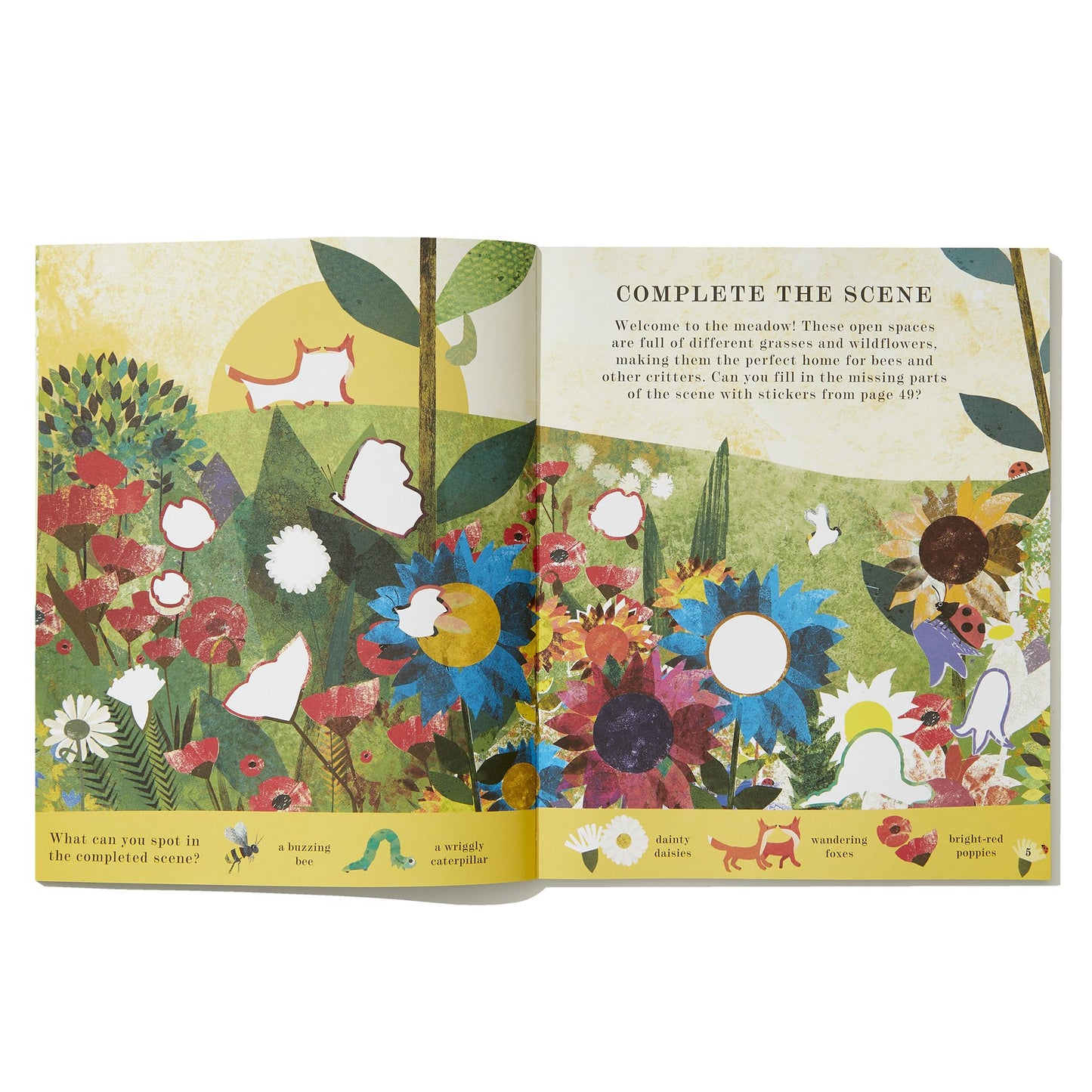 Bee: A Peek-Through Activity Book