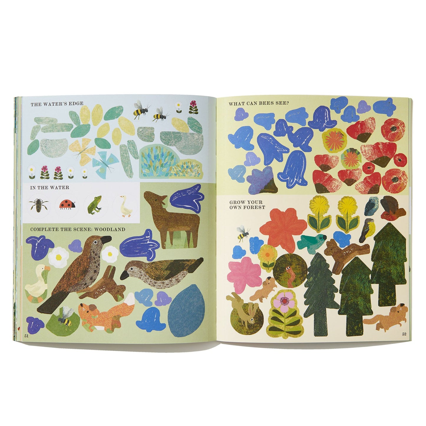 Bee: A Peek-Through Activity Book