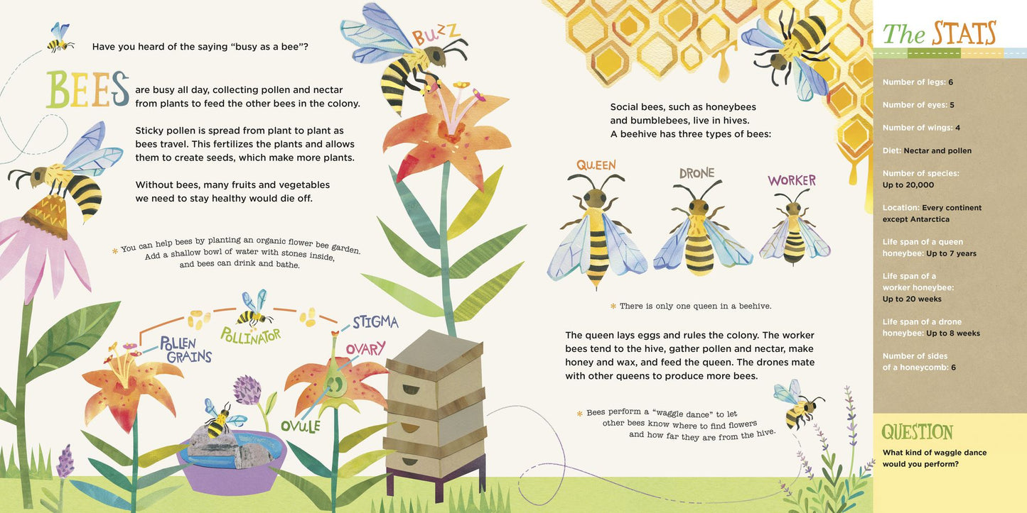 Hello, World! Kids' Guides: Exploring Insects